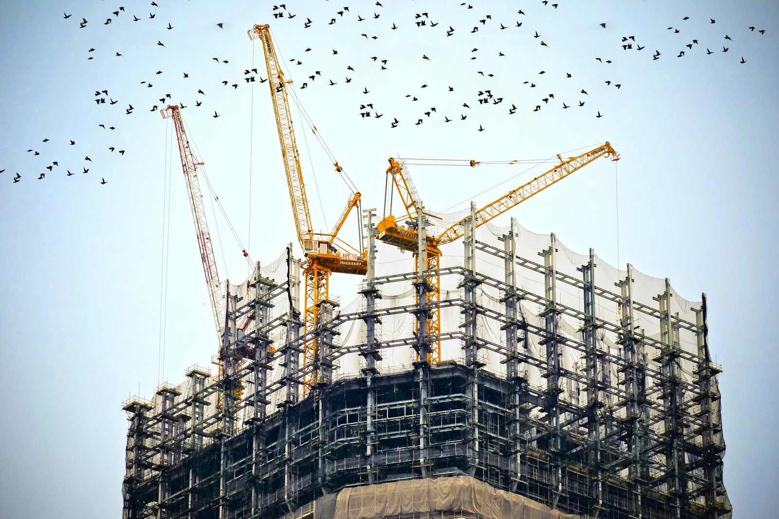 Grues jaunes sur un immeuble en construction